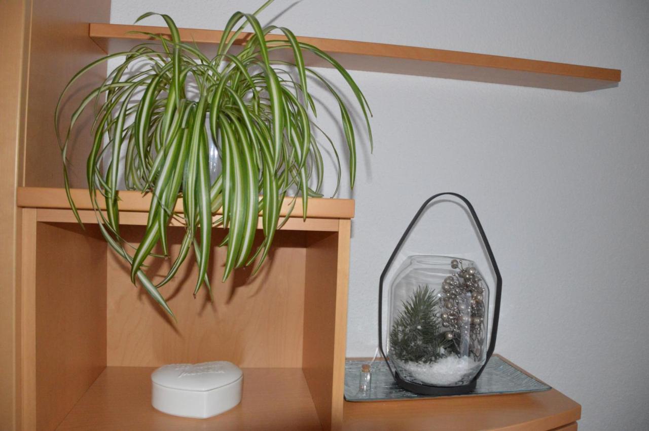Streng Apartment *